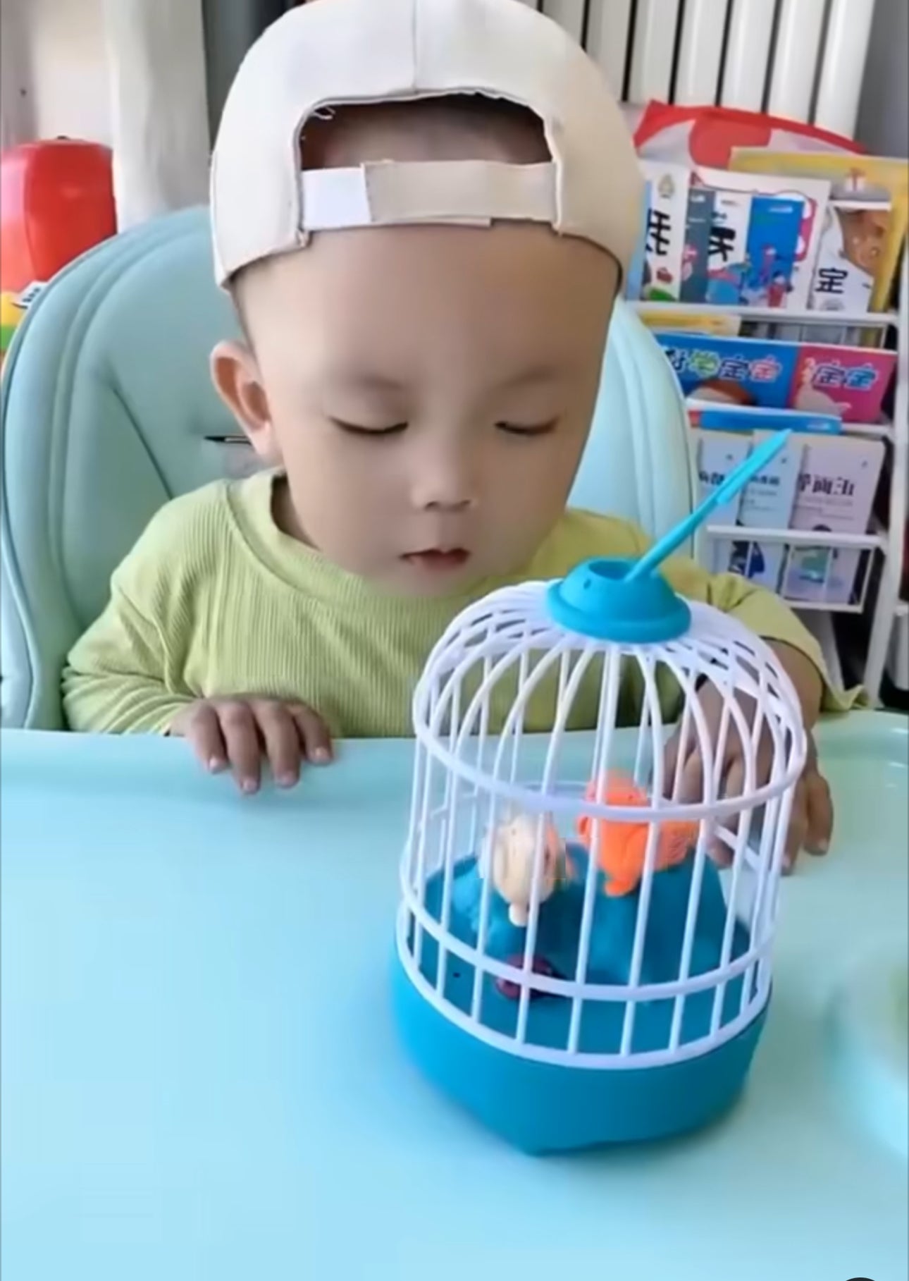 Electric Talking & Singing Birds